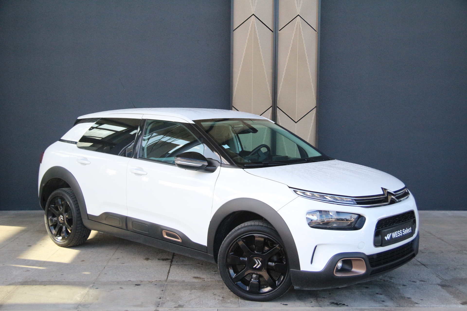 Citroen c4 cactus