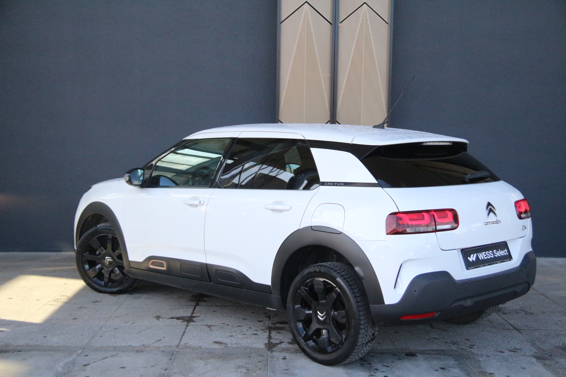 Citroen c4 cactus
